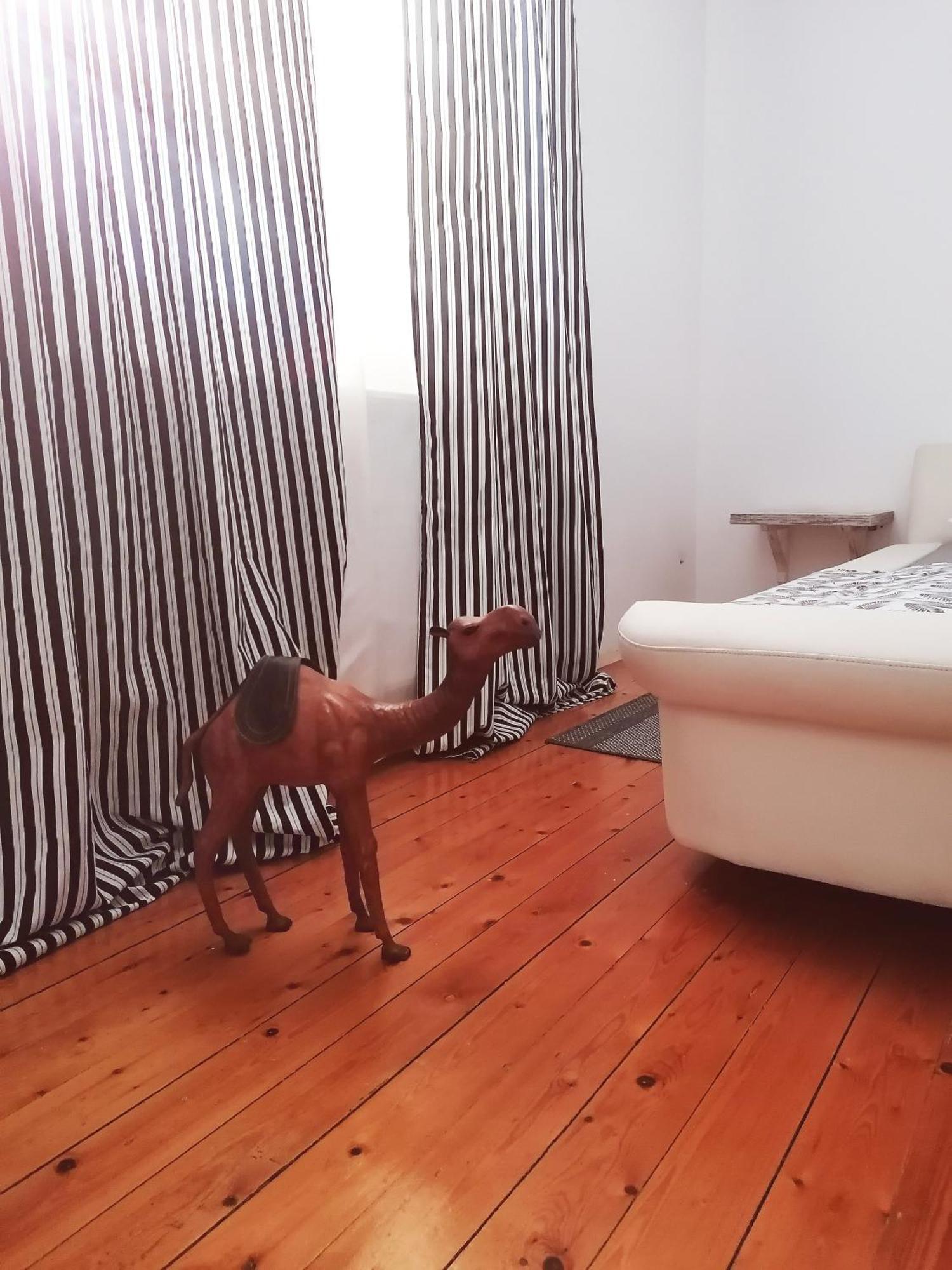 Apartman Centar Kruševac Exteriér fotografie